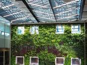 Sustainable Office Buildings Improving Employee Health