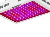 Best Grow Lights: Unknown Light Take Top?