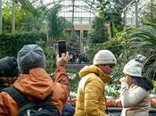 Everywhere: Who's Flicking Whom? [Longwood Gardens, Outside Philly]