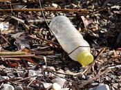 Schools Took Pledge Help Eradicate Single-Use Plastics 2022
