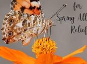 Best Spring Allergy Relief