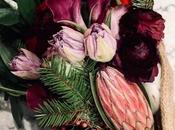 Sunday Bouquet: Deep Garnet with Holiday Greens