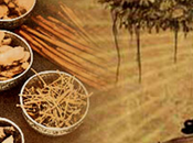 Wonderful Health Benefits Ayurvedic Herbs Healthy Lifestyle