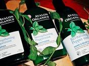 Peppermint Power: Avalon Organics Bath Body Products