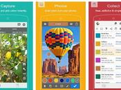 Best Color Identifier Apps (android/iPhone) 2019