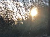 More Valuable Resources Opus Dei: Betty Clermont's Penny Lernoux's Books