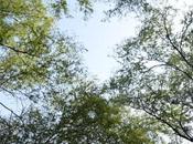 Importance, Types Examples Environmental Activism