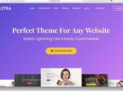 Pros Cons Using Astra WordPress Theme