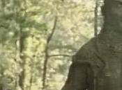 Retro Review: ‘Swamp Thing’