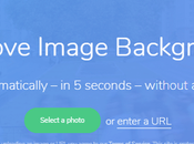Make Transparent Background Image “AI” Online Tools