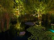 Some Awesome Benefits Garden Lighting