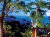 Room with View: Bedarra Island, Australia