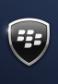 Protect Your Personal Data Case BlackBerry Smart Phone Stolen