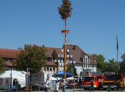 Maypole Celebrations Germany