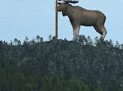 Sweden Plans Build Giant Wooden Moose