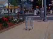 Wild Shopping Cart Sighting: 5/6/11