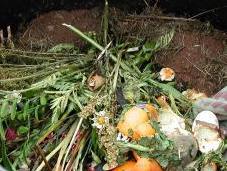 Composting Dummies