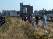 Cost Benefits High Line