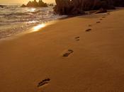 Leave Human Footprint