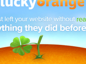 Lucky Orange Review 2019 Ideal Analytics Program? Discount Code