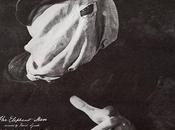 Film Challenge Oscar Nominated Elephant (1980)