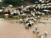 Much Have Lose Across Planet Until Accept Climate Change?