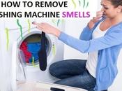 Smell Washing Machine Your Ultimate Guide