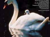 Cude Poetry: Treasured Memories