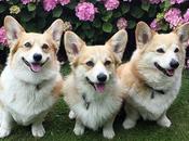 Insurance De-tariffing Pricing Costs More Than Cars Insure