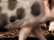 March Featuring Freebies!