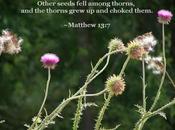 Prata Potpourri: Women's Day, Fencing Lord's Table, Discernment Thinking, Girl, Again?? More