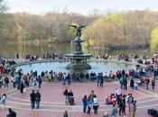 Family Activities Explore York City Central Park