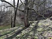 Dancing One's Looking