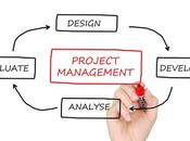 What Makes Great Development Project Manager?