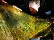 Young Beaked Whale That Died Ingesting Plastic Bags Discovered Philippines