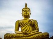 Buddha, What Were Their Principles?