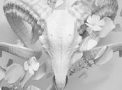 Dandy Brown Scattered Days