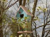 Beauty God, Reflected Spring