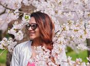 Cherry Blossom Season D.C.