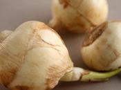 Extraordinary Health Benefits Arrowroot