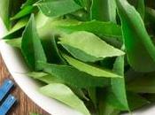 Health Benefits Neem Treating Diabetes