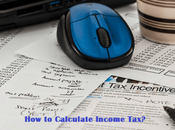 What Income Calculator Calculate