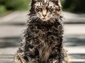 Movie Review: ‘Pet Sematary’ (Second Opinion)