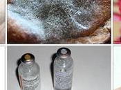 Ayurvedic Management Spring Allergies