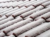 Hurricanes/bad Weather Impact Your Roof