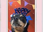 Facebook Adds Shared Digital Birthday Cards Stories