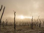 Uncontrolled Human Actions Accelerating Extinction Shifting Earth Ecosystem Towards Dead