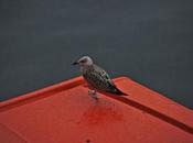 Daily Sixku Photo (May 2019)