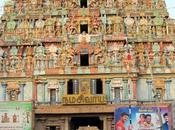 Thiruvanaikaval Akila Gets Showers