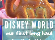 Disney World Vacation First Long Haul Family Holiday
